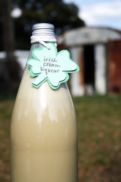 irishcream5 irishcream5